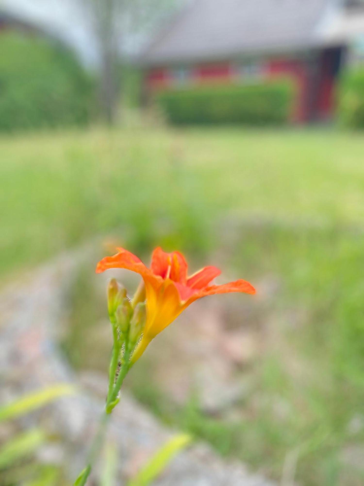 Lilla Roeda Huset. Villa Sjotofta ภายนอก รูปภาพ